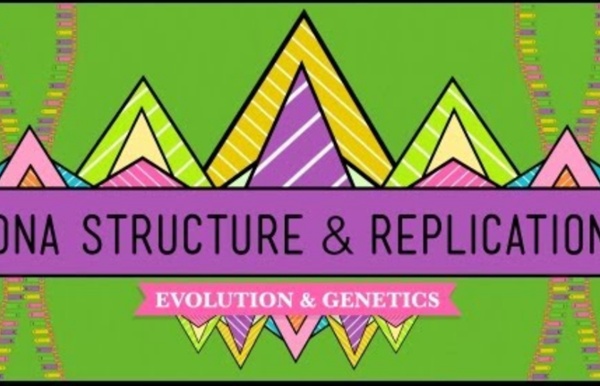 DNA Structure and Replication: CrashCourse Biology #10