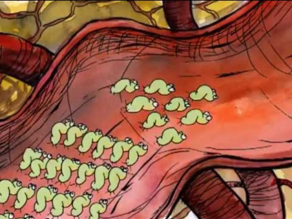 La résistance des bactéries (film d'animation)