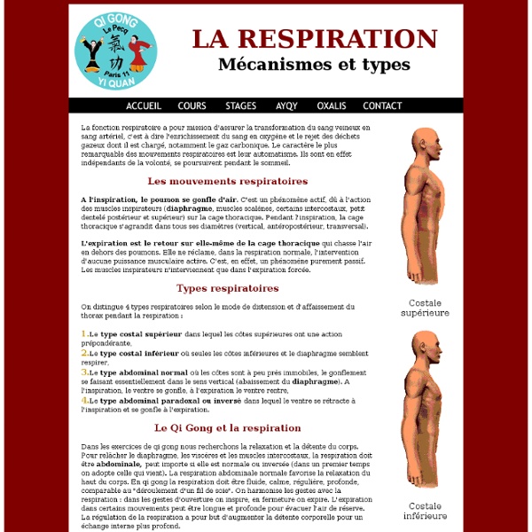 Respiration