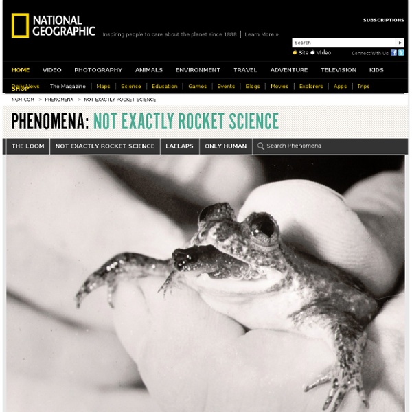 Resurrecting the Extinct Frog with a Stomach for a Womb