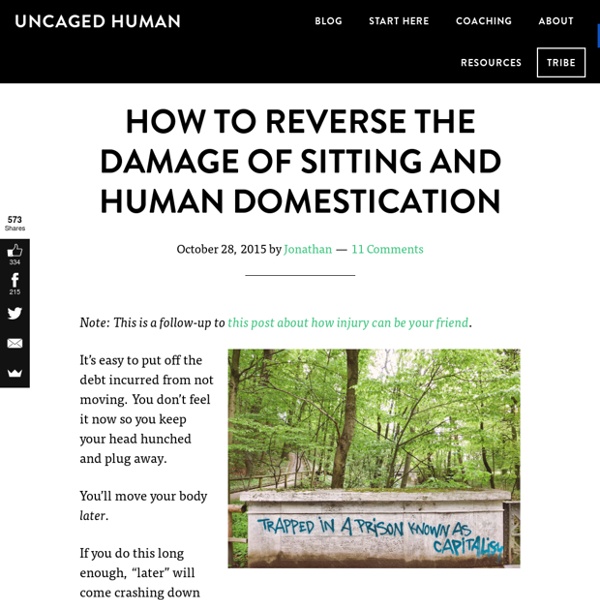 How to Reverse the Damage of Sitting and Human Domestication - Uncaged Human