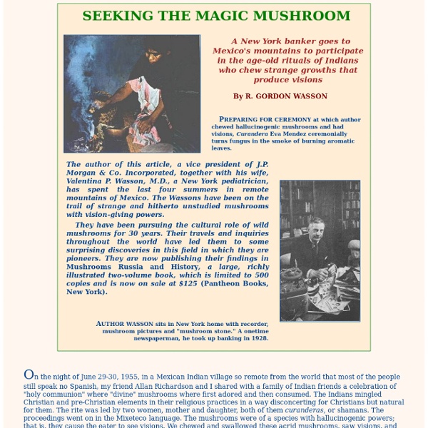 Seeking the Magic Mushroom