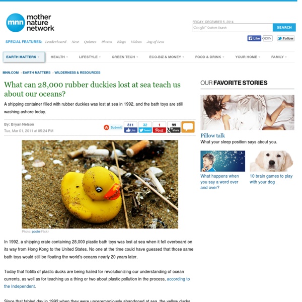 What can 28,000 rubber duckies lost at sea teach us about our oceans?