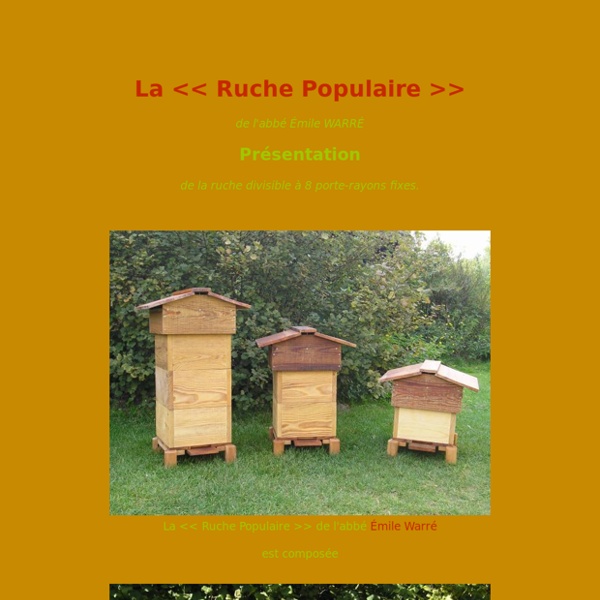 La << Ruche Populaire >> de l'abbé Émile Warré