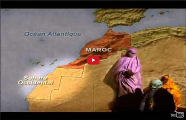 Sahara occidentale la vérité.flv