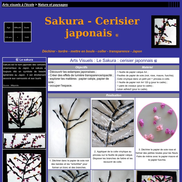 Sakura, cerisier du Japon