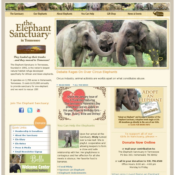 The Elephant Sanctuary