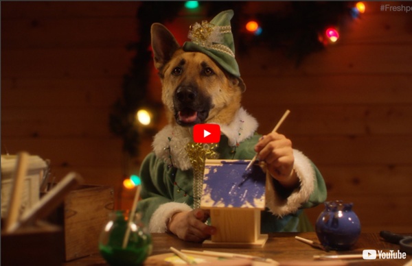 Santa's Elves - Dogs and Cats with Human Hands Making Toys - Freshpet