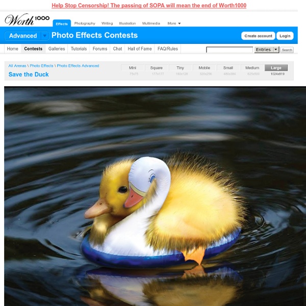 Save the Duck - large - Worth1000.com forums