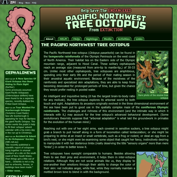 Save The Pacific Northwest Tree Octopus