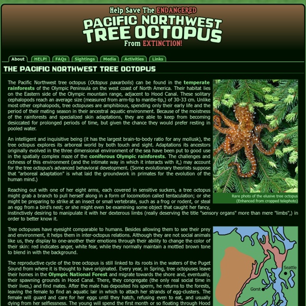 Save The Pacific Northwest Tree Octopus