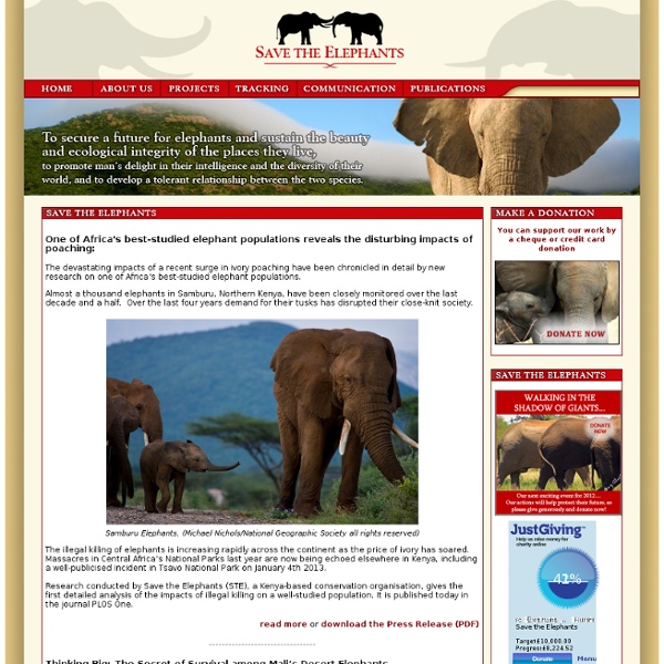 Save the Elephants - Home