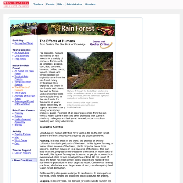 News: Rain Forest