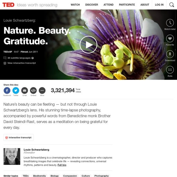 Louie Schwartzberg: Nature. Beauty. Gratitude.