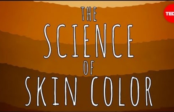 (6) The science of skin color - Angela Koine Flynn