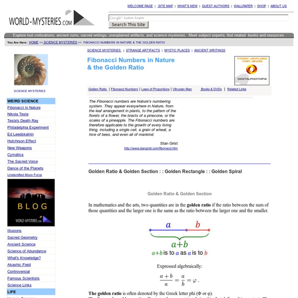 Science Mysteries, Fibonacci Numbers and Golden section in Nature World-Mysteries.com