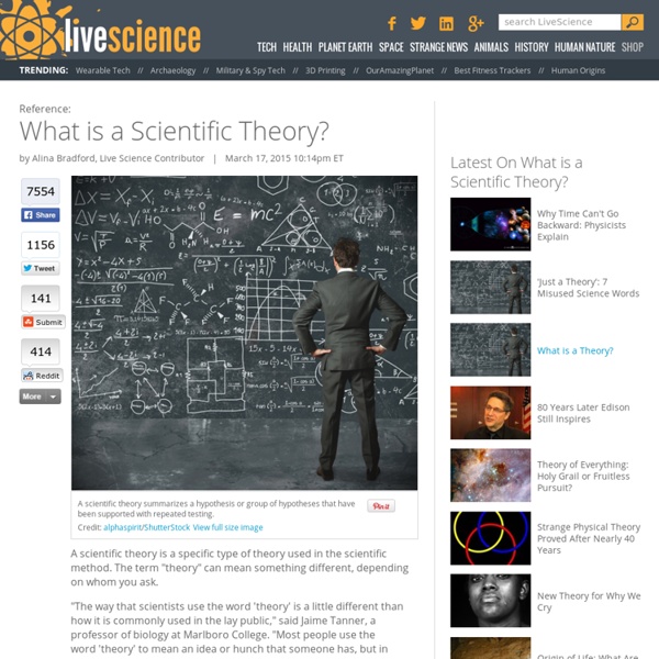 What is a Scientific Theory?