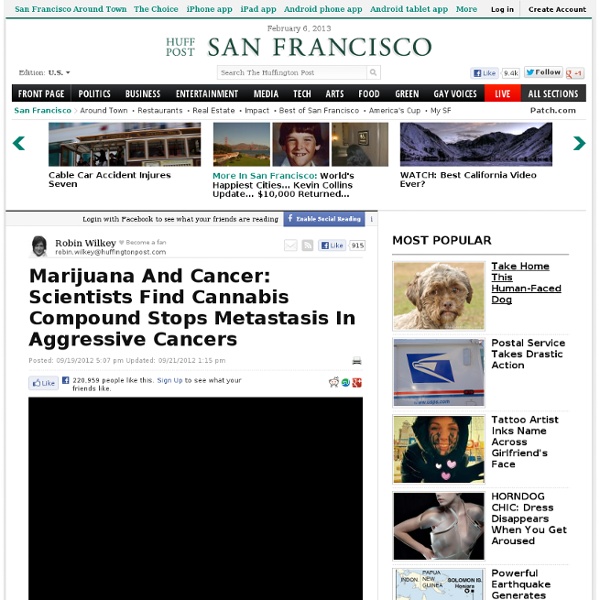Marijuana And Cancer: Scientists Find Cannabis Compound Stops Metastasis In Aggressive Cancers