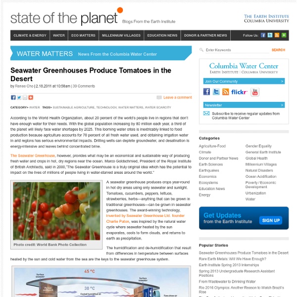 Seawater Greenhouses Produce Tomatoes in the Desert
