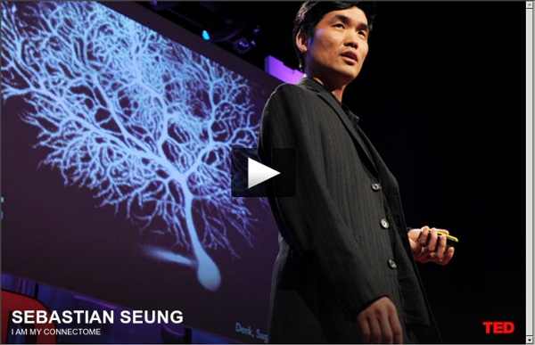 Sebastian Seung: I am my connectome