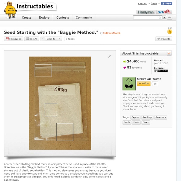 Seed Starting with the "Baggie Method."