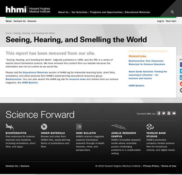 Seeing, Hearing and Smelling the World