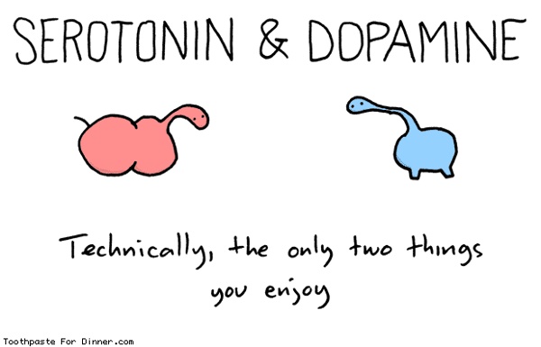 Serotonin-and-dopamine.gif (620×398)