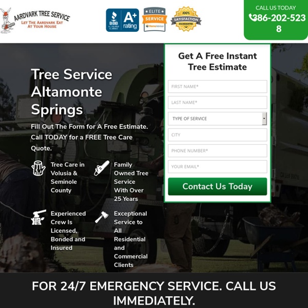 Tree Service Removal Altamonte Springs & Tree Trimming [Voted #1] □