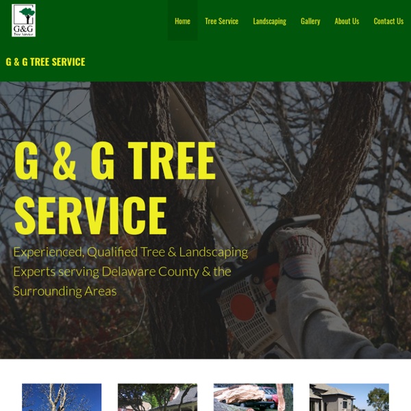 Tree Service Delaware County