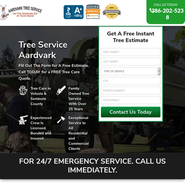 Tree Service Removal Daytona Beach & Tree Trimming [Voted #1] □