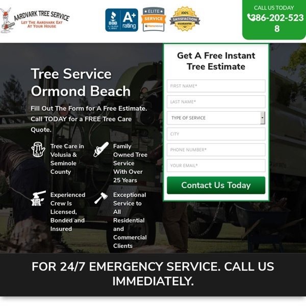 Tree Service Removal Ormond Beach & Tree Trimming [Voted #1] □