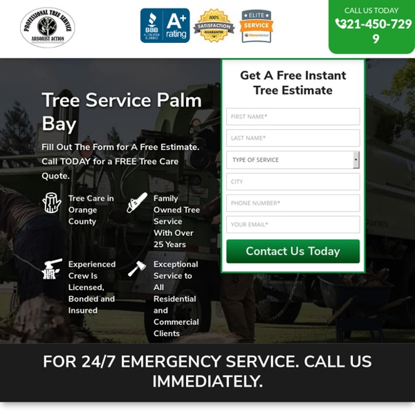 Tree Service Removal Palm Bay & Tree Trimming [Voted #1] □