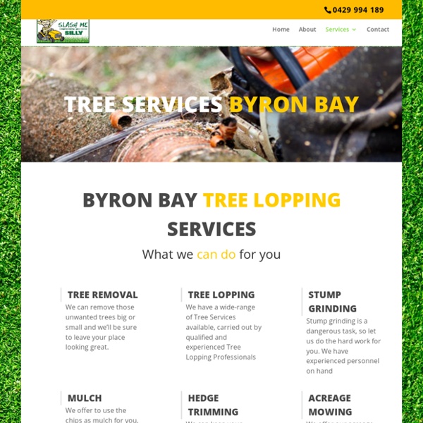 Tree Services Byron Bay