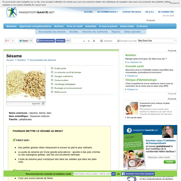 Sésame - Les graines de sésame riches en vitamine E