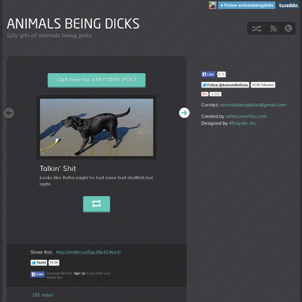 Animals Being Dicks