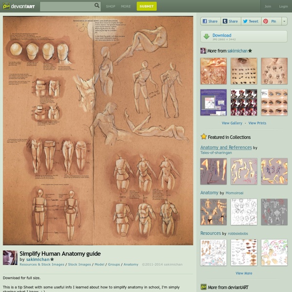 Simplify Human Anatomy guide by sakimichan on deviantART
