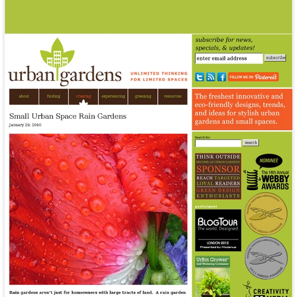 Small Urban Space Rain Gardens
