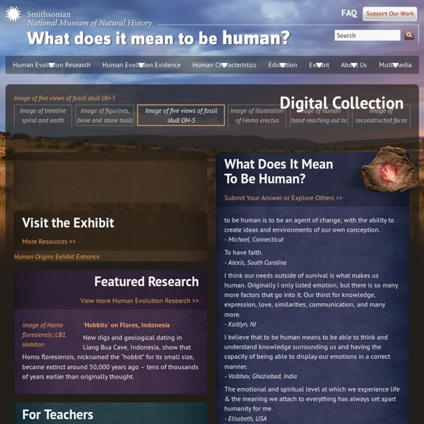 Human Evolution by The Smithsonian Institution's Human Origins Program