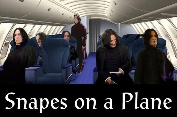 Snapes on a plane.jpg (JPEG Image, 600x396 pixels)