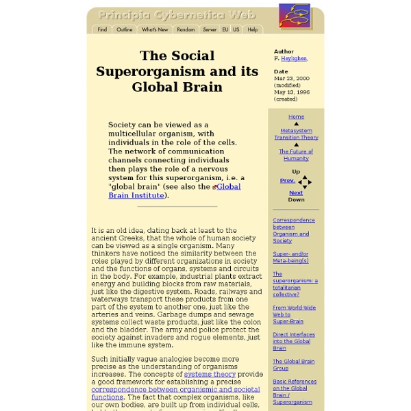 The Social Superorganism and its Global Brain