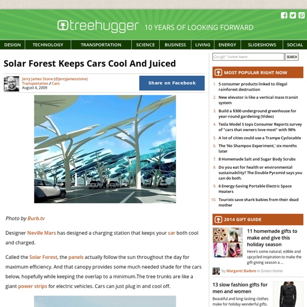 Solar Forest Keeps Cars Cool And Juiced