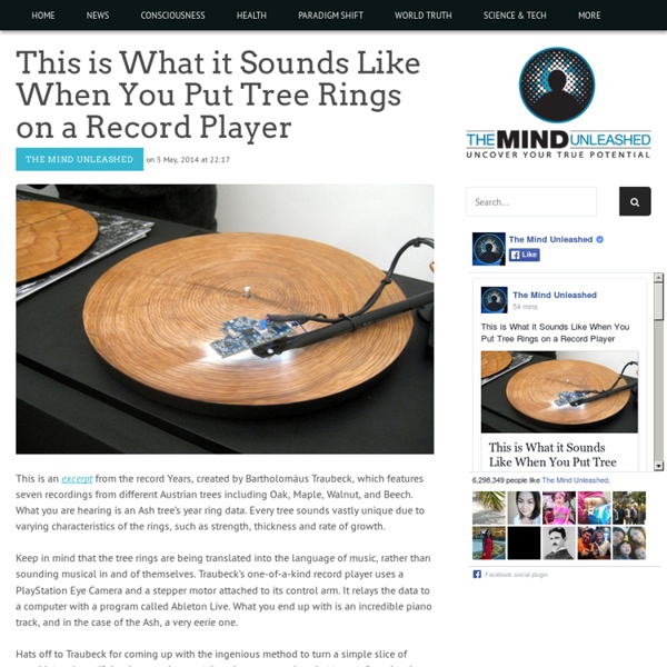 This is What it Sounds Like When You Put Tree Rings on a Record Player