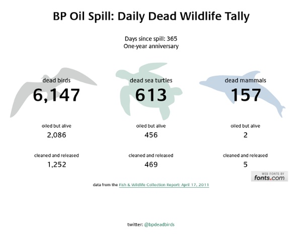 BP Oil Spill: Daily Dead Wildlife Tally