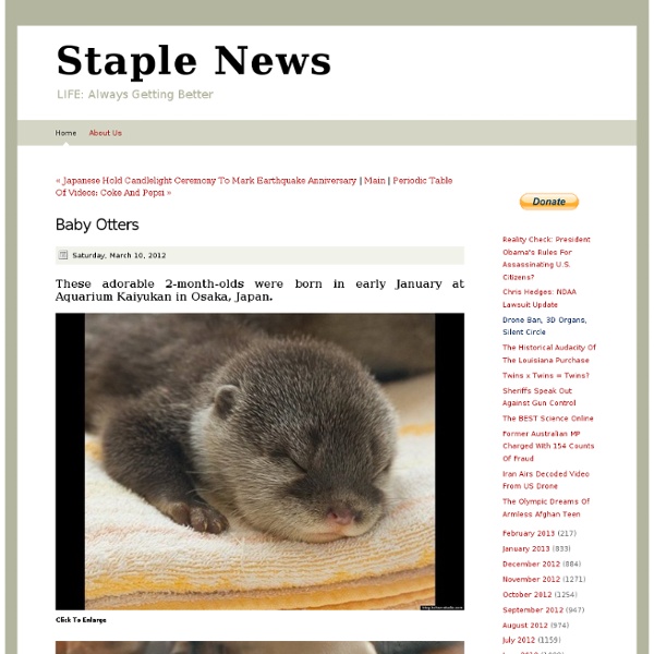Baby&Otters - Home - Staple News - StumbleUpon