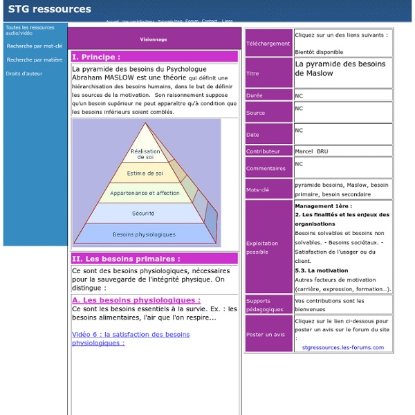 Pyramide de Maslow exemples