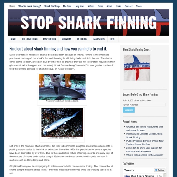 STOP SHARK FINNING