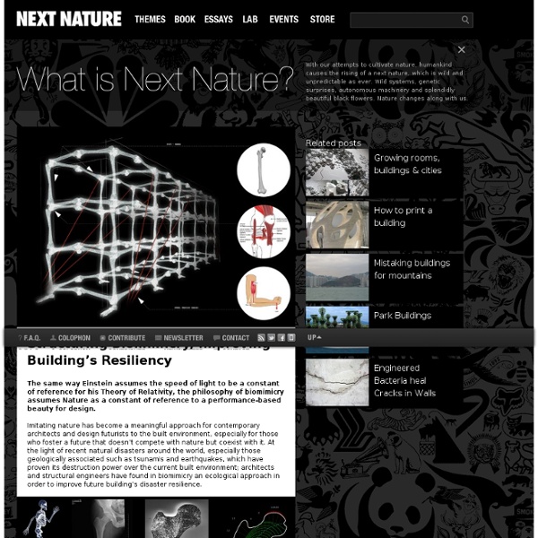 Structuring Biomimicry, Improving Building’s Resiliency