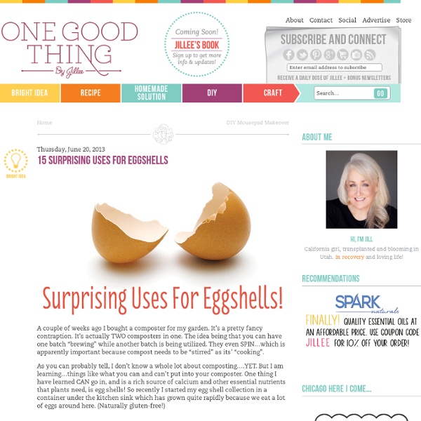 15 Surprising Uses For Eggshells