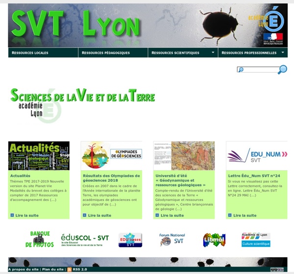 SVT Lyon
