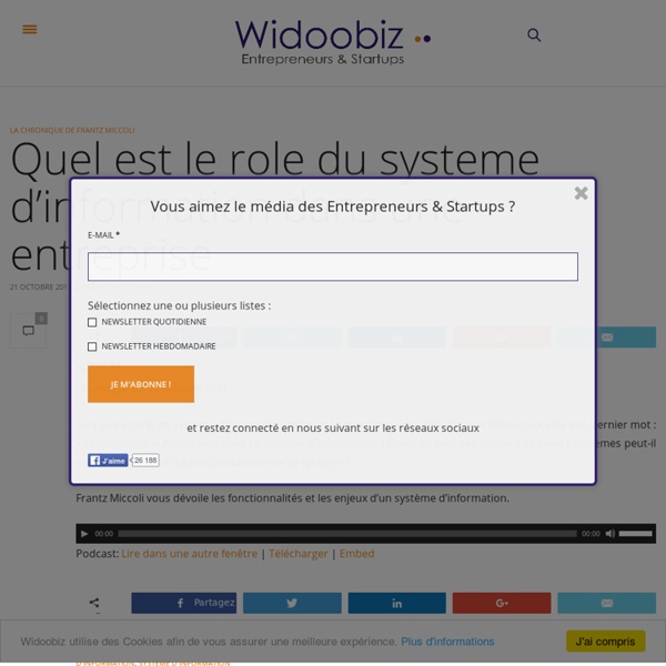 Quel est le role du systeme d'information dans une entreprise